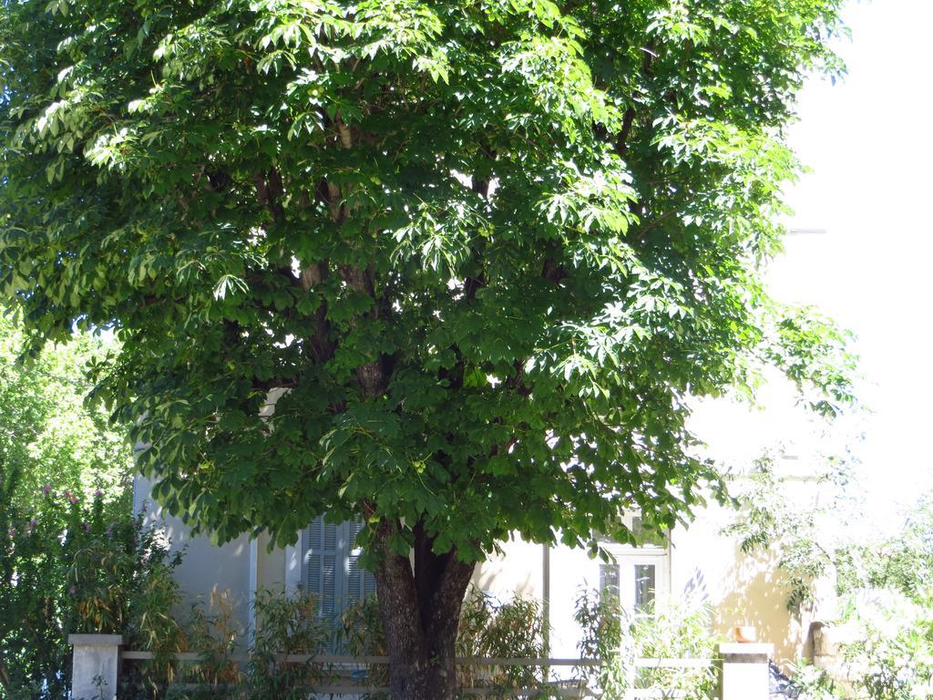 Maison Jean Chapelle أفينيون المظهر الخارجي الصورة